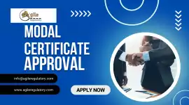 Fast Model Approval Service for Manufacturers , Noida