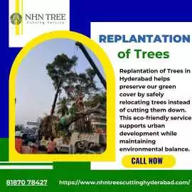  Professional Replantation of Trees in Hyderabad , Hyderabad