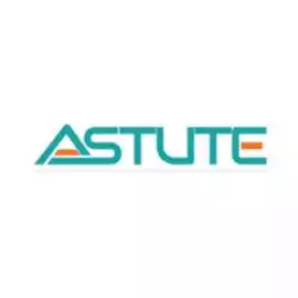 Drive Business Growth with Astute’s Expert CFO, Pleasanton