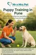 Puppy Training in , Pune