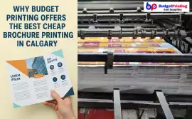 Cheap Brochure Printing in Calgary – Fast & Pr, Calgary