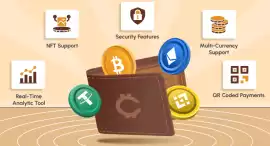 Enhanced Crypto Wallet Development Services , Amou
