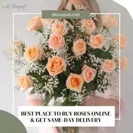 Best Place to Buy Roses Online, $ 20