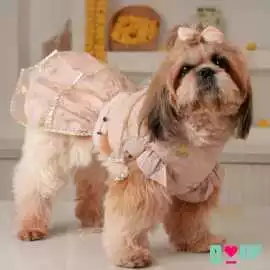 Buy Dog Kurta & Dog Lehenga Online for Rakhi, New Delhi
