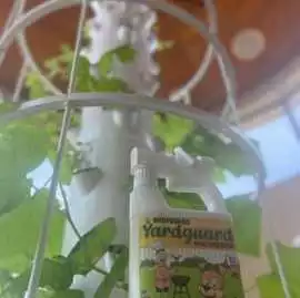 Natural Yard Bug Spray for Mosquito & Tick Con, $ 40