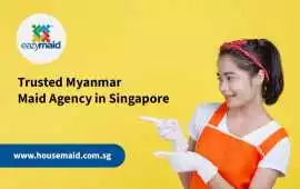 Top Myanmar Maid Agency Offering Quality Service, Bukit Timah