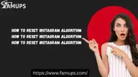 How to Reset Instagram Algorithm, Houston