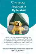Pet Sitter in , Hyderabad
