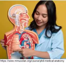 Phd in anatomy, Solan