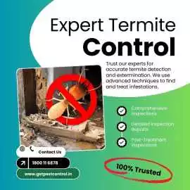 Best Termite Control Company in India – Get Pest C, Delhi