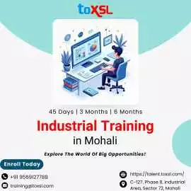  6 Months Industrial Training in Mohali , Mohali
