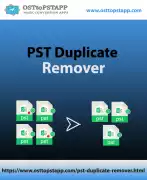 Delete all Duplicate PST Emails, Anchorage