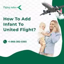 How To Add Infant To United Flight?, Worcester