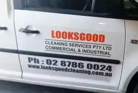 Transform Your Ride with Stunning Car Window Stick, Girraween
