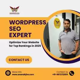 WordPress SEO Expert for Top Rankings in 2025, Chandigarh