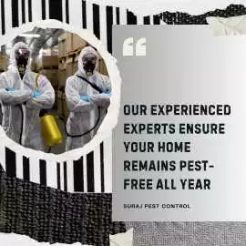 Experienced Pest Control Expert in Gurgaon, Gurgaon