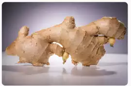 Ginger Exporter From India, Mumbai