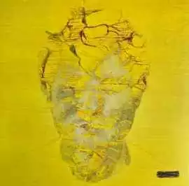 Vinilines ploksteles, $ 1