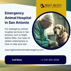 Emergency Pet Hospital San Antonio - Night Watch, San Antonio