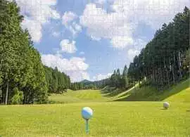Golf Puzzles, $ 100