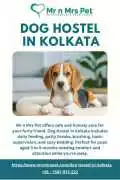 Dog Hostel in , Kolkata