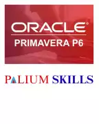 Best Primavera P6 Classes by experienced faculty i, Kolkata