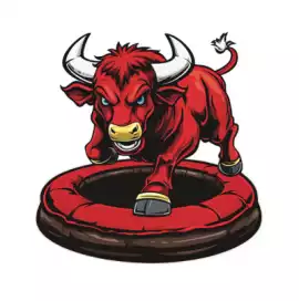 Best Mechanical Bull Rental DFW, Irving