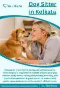 Dog Sitter in , Kolkata