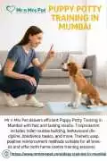 Puppy Potty Training in , Mumbai
