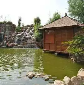 Stay Amidst Nature In A Charming Tree HouseCottage, Jaipur
