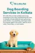 Dog Boarding Services in , Kolkata