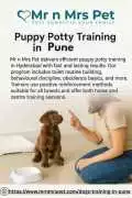 Puppy Potty Training in , Pune