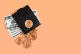 Looking to launch your crypto wallet like Phantom?, Madurai
