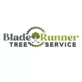 Blade Runner Tree Service, Austin