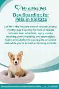 Day Boarding for Pets in , Kolkata