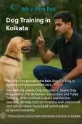 Dog Training in , Kolkata