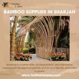 Bamboo Supplier In Sharjah, d.ed 111