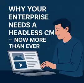 Why Your Enterprise Needs a Headless CMS - Now , Stuttgart
