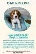 Day Boarding for Dogs in , Kolkata
