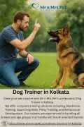 Dog Trainer in , Kolkata