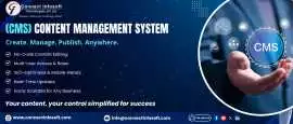 Professional Content Management System (CMS), Faridabad