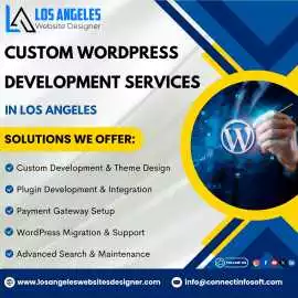 Elevate Your Website with Custom WordPress Develop, Faridabad