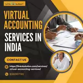 Reliable Virtual Accounting Services in India, Chandigarh