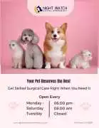 Get Skilled Pet Surgery in San Antonio, San Antonio