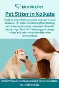 Pet Sitter in , Kolkata