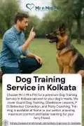 Dog Training Service in , Kolkata