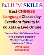 Best Chinese Language Classes by Excellent faculty, Kolkata