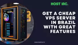 Get a Cheap VPS Server in Brazil , Flamengo