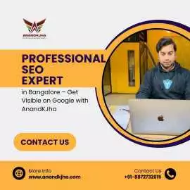 Professional SEO Expert in Bangalore , Bengaluru