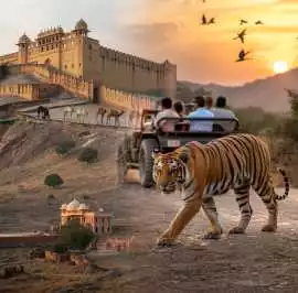 Discover Jaipur Ranthambore Tour Experiences for N, Jaipur